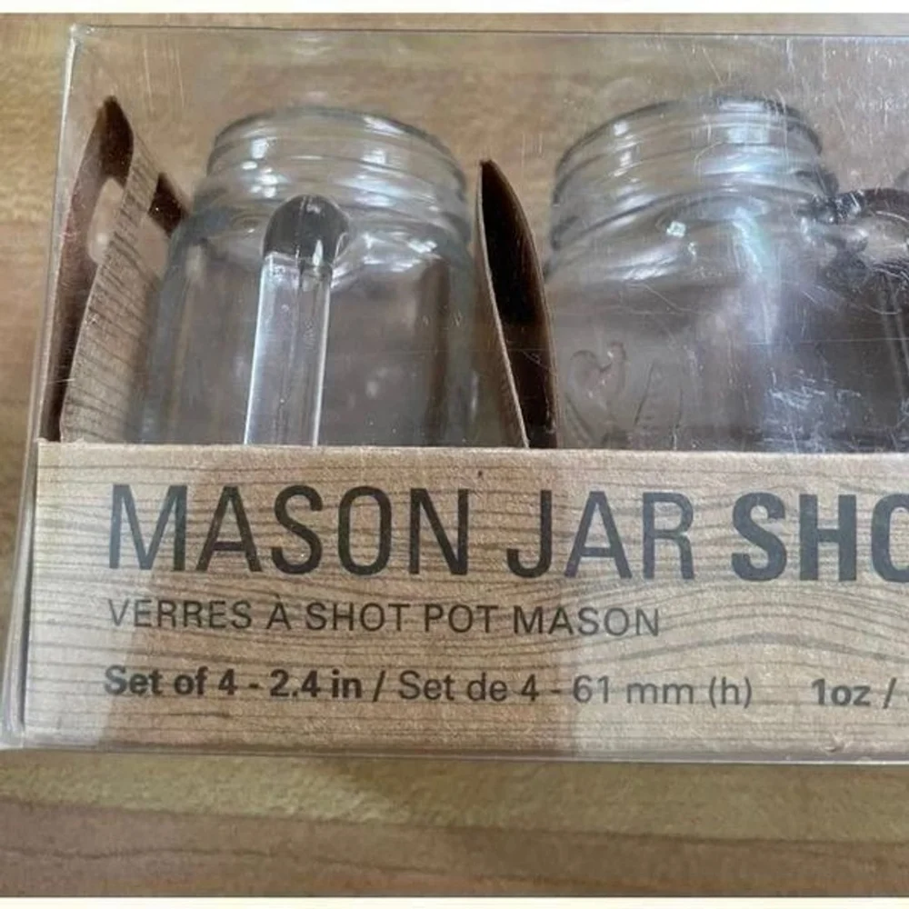 Kikkerland Mason Jar Shot Glasses NIB